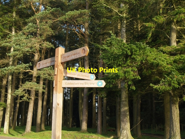 Photo 6"x4" Signpost, Ada Hill. Darnhall Mains c2006