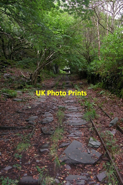Photo 6"x4" Looking up the bed of the lowest pitch of the Dinorwig A incline plane railway Llanberis c2006