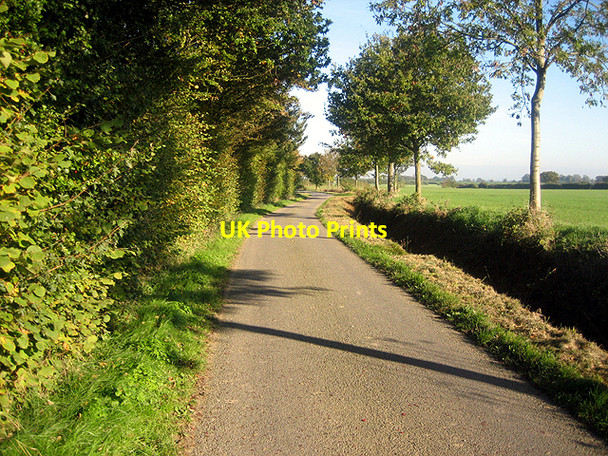 Photo 6"x4" North along Dakings Lane Colchester Green c2006