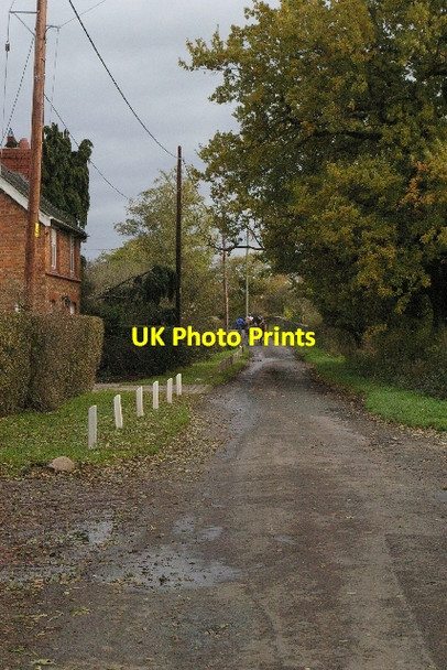 Photo 6"x4" Exercising horses in Dairy Lane Worleston c2006