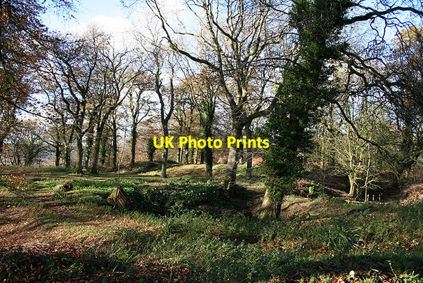 Photo 6"x4" Staple Fitzpaine: Castle Neroche Blackwater\/ST2615 c2006