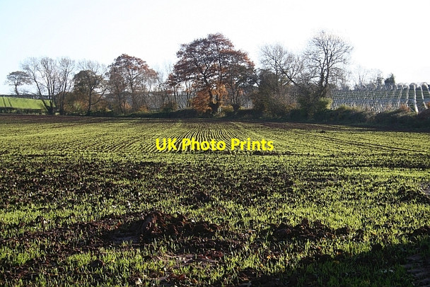 Photo 6"x4" New Crop Ford\/SO5155 c2006