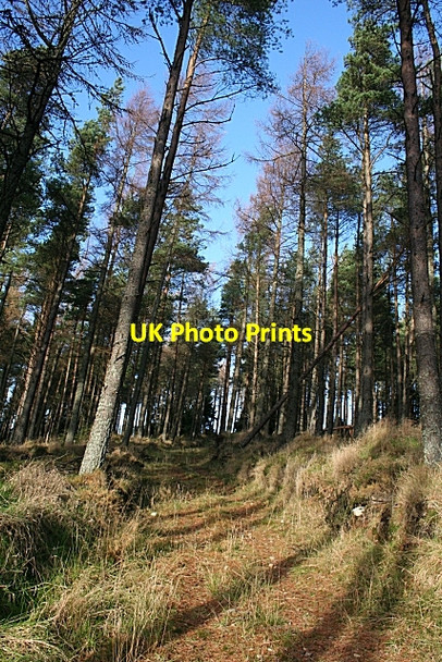 Photo 6"x4" Hill of Muldearie Aultmore\/NJ4053 c2006