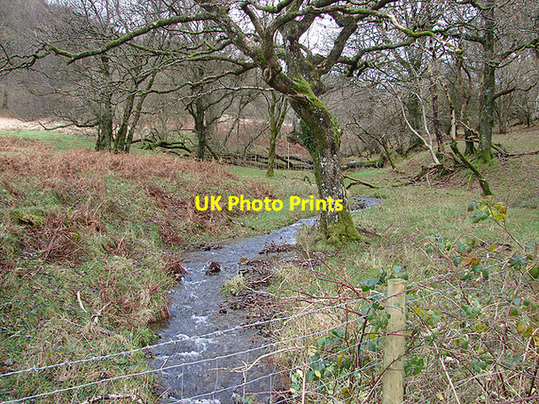 Photo 6"x4" Nant Lledwenau Pont-rhyd-y-groes c2006