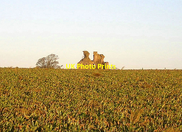Photo 6"x4" Ruin in a Field Whitelees\/NS3931 c2006