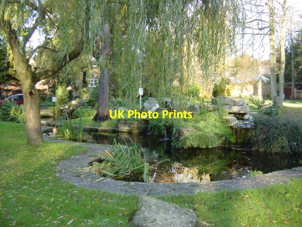 Photo 6"x4" Varndean Drive ornamental pond Brighton\/TQ3106 c2006