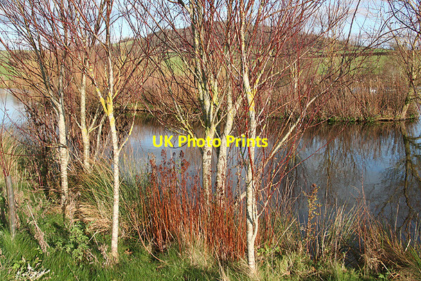 Photo 6"x4" Axmouth: Lower Bruckland Trout Fishery Musbury c2006