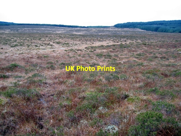 Photo 6"x4" Moorland in Glinne Bhig Glen Bernisdale c2006
