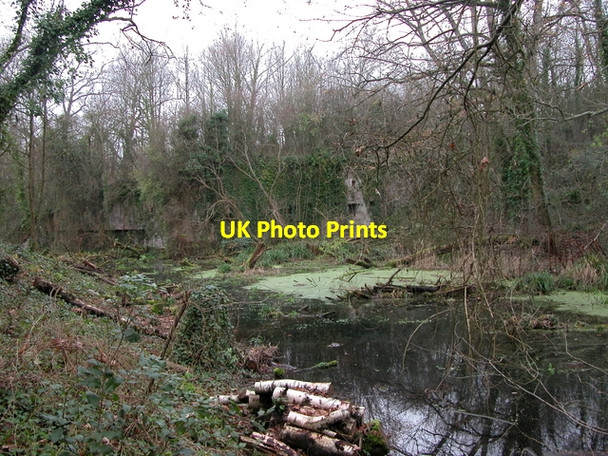 Photo 6"x4" The moat of Fort Fareham Fareham c2006