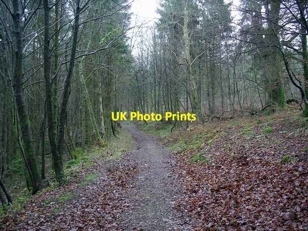 Photo 6"x4" Footpath, Woodcockair Brydekirk c2006