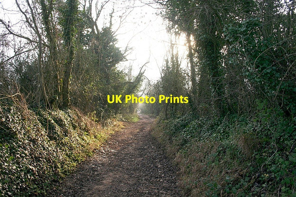 Photo 6"x4" Lane to Westmancote Kemerton c2006