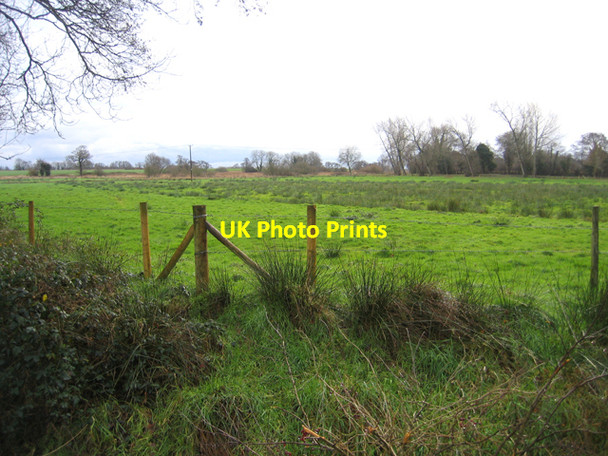Photo 6"x4" Rushy pasture, Irstead Street, Norfolk Irstead Street c2007