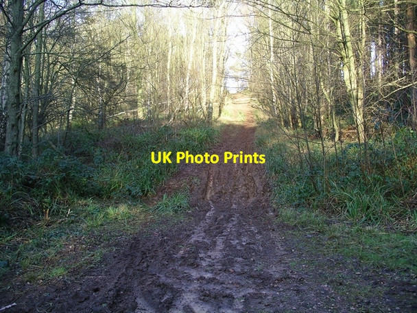 Photo 6"x4" Glorious mud! Greasley\/SK4947 c2007