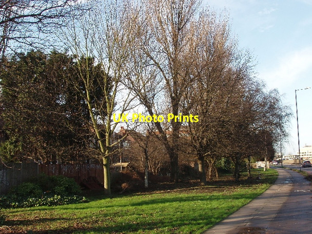 Photo 6"x4" Green corridor by Western Avenue Ealing c2007