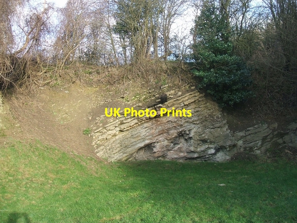 Photo 6"x4" Exposed Limestone at Wren's Nest Dudley\/SO9390 c2007