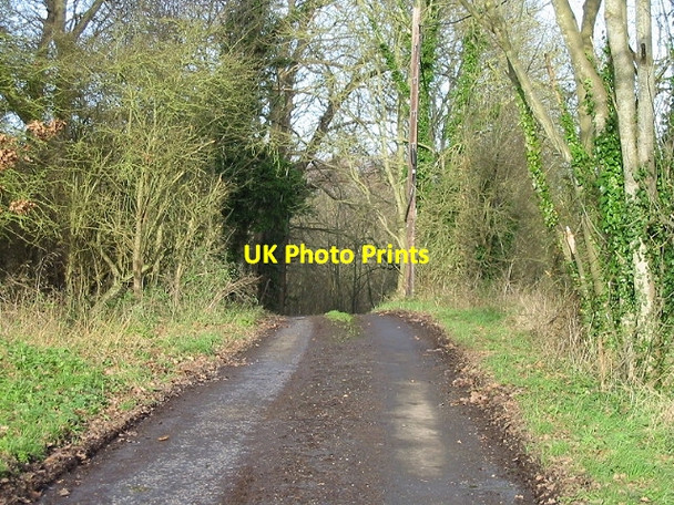 Photo 6"x4" End of the road? Stodmarsh c2007