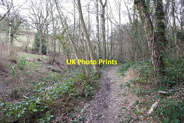 Photo 6"x4" Path Through Lambridge Hill Wood Churchfield\/SO7346 c2007