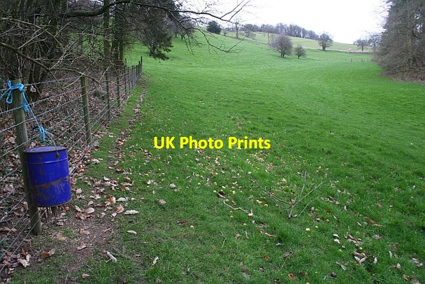 Photo 6"x4" Pheasant Feeder and Apples Ham Green\/SO7444 c2007