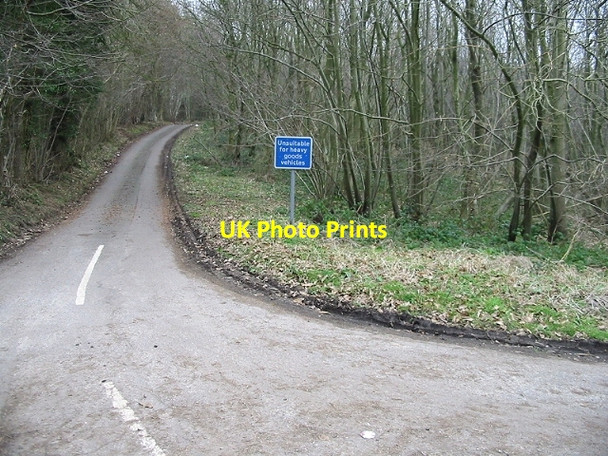Photo 6"x4" Road through the woods Westwood\/TR1749 c2007