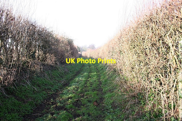 Photo 6"x4" Green Lane Gilbert's End c2007