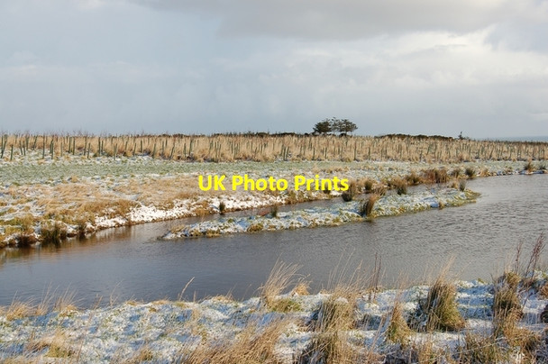 Photo 6"x4" Pond at Dambrae Balmedie c2007