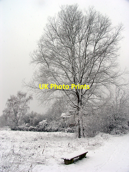 Photo 6"x4" Bank of the Kennet and Avon Canal: Woolhampton Woolhampton c2007