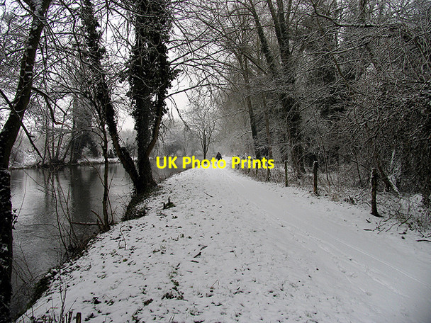 Photo 6"x4" The Wintry Towpath at Woolhampton Woolhampton c2007