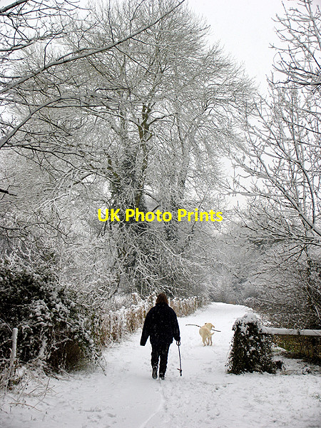 Photo 6"x4" Wintry Walkies Woolhampton c2007