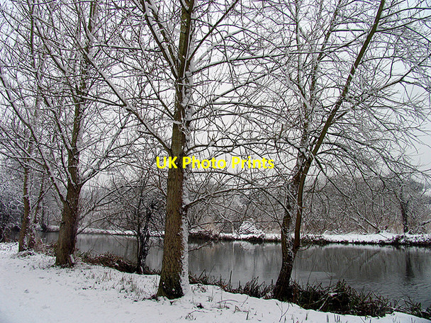 Photo 6"x4" Kennet and Avon Canal Woolhampton c2007