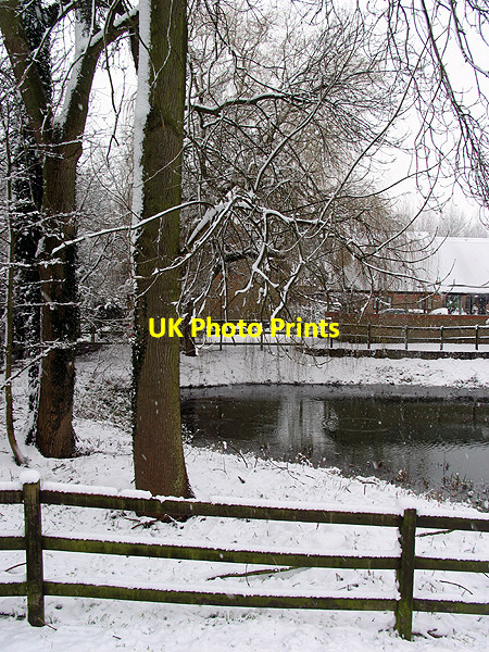 Photo 6"x4" The Village Pond: Woolhampton Woolhampton c2007