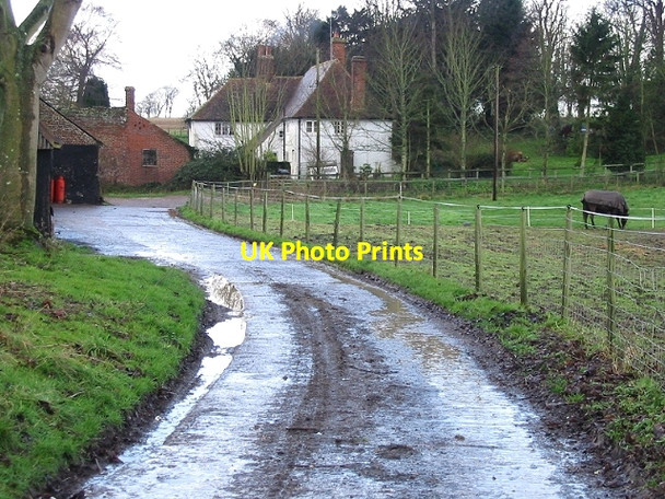 Photo 6"x4" Ileden Farm, Barham Downs Ileden c2007