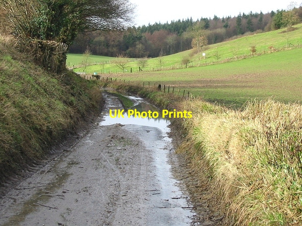 Photo 6"x4" Jumping Downs, nature reserve Derringstone c2007