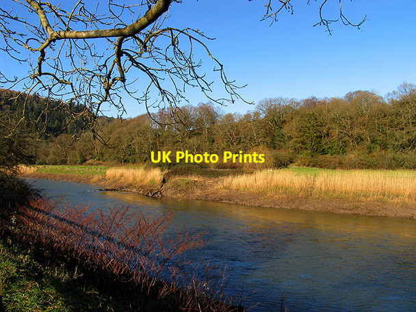 Photo 6"x4" River Wye at Tintern Abbey Chapel Hill\/SO5200 c2007