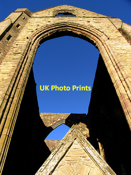 Photo 6"x4" Look Up at Tintern Chapel Hill\/SO5200 c2007