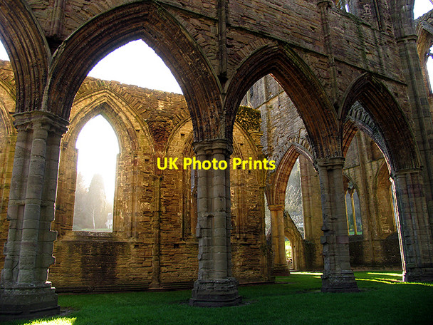 Photo 6"x4" Golden Glory: Tintern Abbey Chapel Hill\/SO5200 c2007