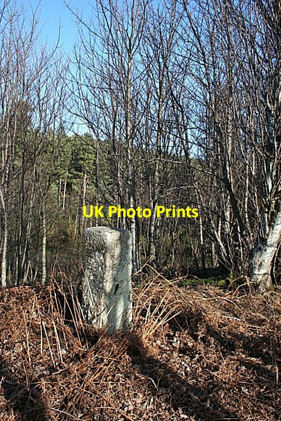Photo 6"x4" Boundary Stone Clackmarras c2007