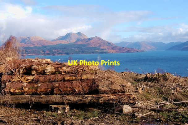 Photo 6"x4" Log pile in Kinloch Forest Duisdalemore\/Duisdeil M\u00f4r c2007