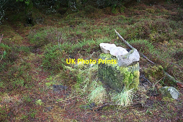 Photo 6"x4" Boundary Stone Drybridge\/NJ4362 c2007