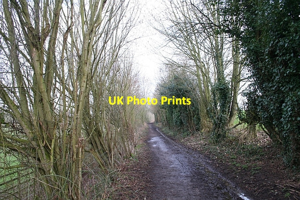 Photo 6"x4" Track to Frith Farm Loxter c2007