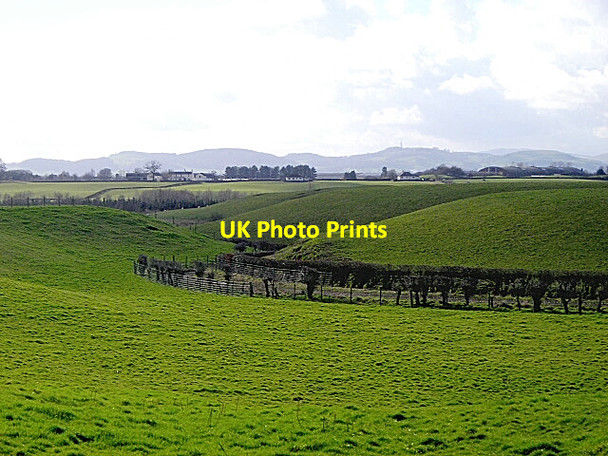 Photo 6"x4" Fields Near Tinwald Parks Locharbriggs c2007