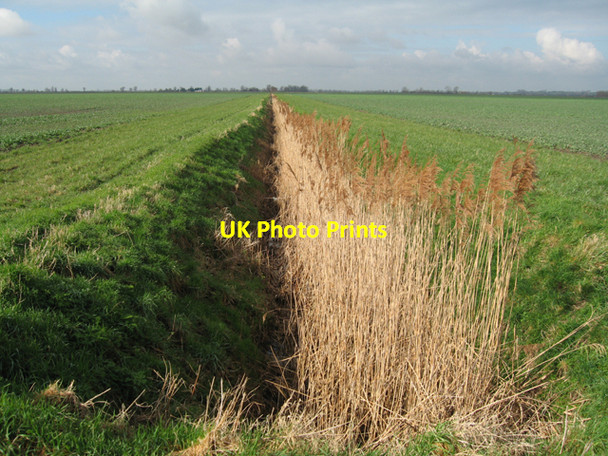Photo 6"x4" Reedy drain, Lazier Fen, Stretham, Cambs Elford Closes c2007