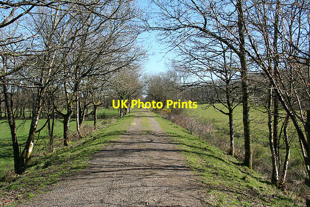 Photo 6"x4" Highampton: course of railway Highampton c2007