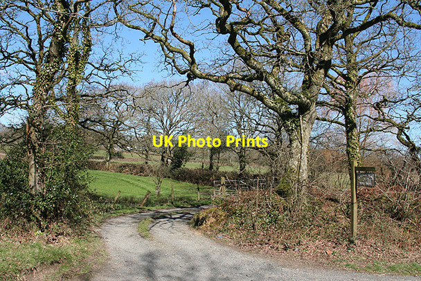 Photo 6"x4" Highampton: entrance to Parker\u00e2\u0080\u0099s Down Highampton c2007