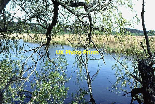Photo 6"x4" Spynie Loch Windyridge\/NJ2367 c1984