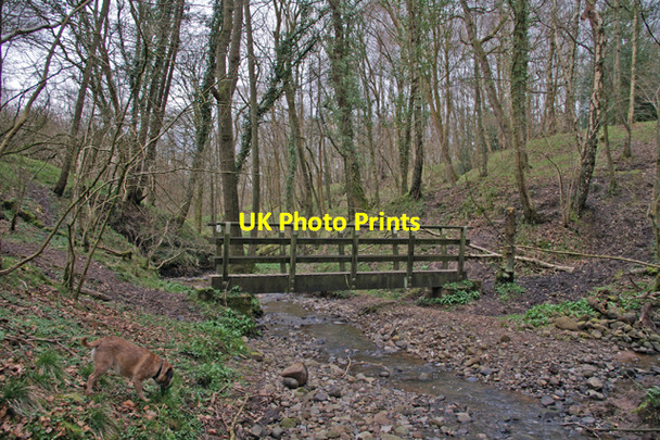 Photo 6"x4" Footbridge in Mire Wood Osbaldeston Green c2007