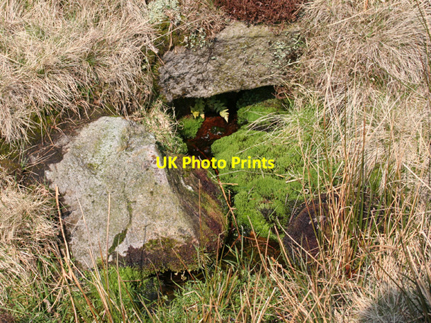 Photo 6"x4" Bull Stones Spring (detail) Bull Stones c2007