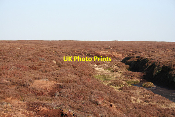 Photo 6"x4" Middle Moor Featherbed Moss\/SK1994 c2007