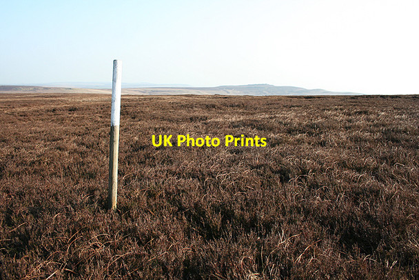 Photo 6"x4" Stake, Featherbed Moss Abbey Brook c2007