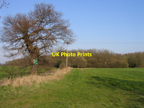 Photo 6"x4" Public footpath to Eltisley Wood, Eltisley, Cambs Eltisley c2007