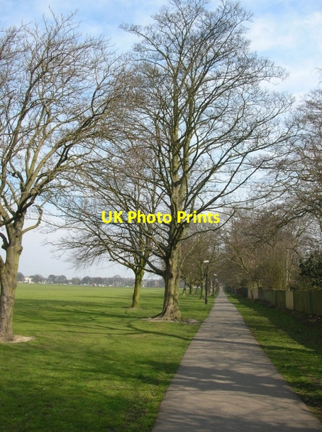 Photo 6"x4" Path along the Stray Harrogate c2007